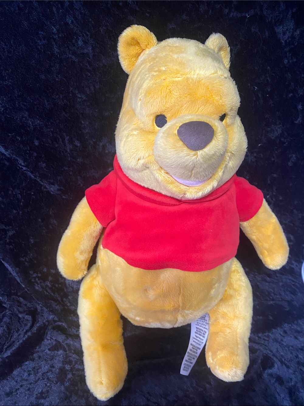 Disney Winnie the Pooh Plush in Yellow and Red